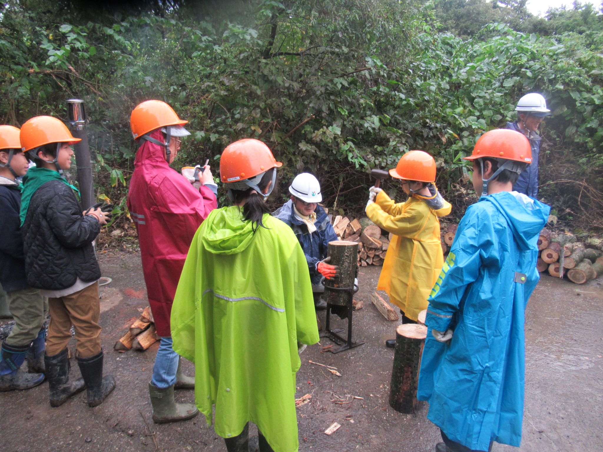 さけの森林づくり写真