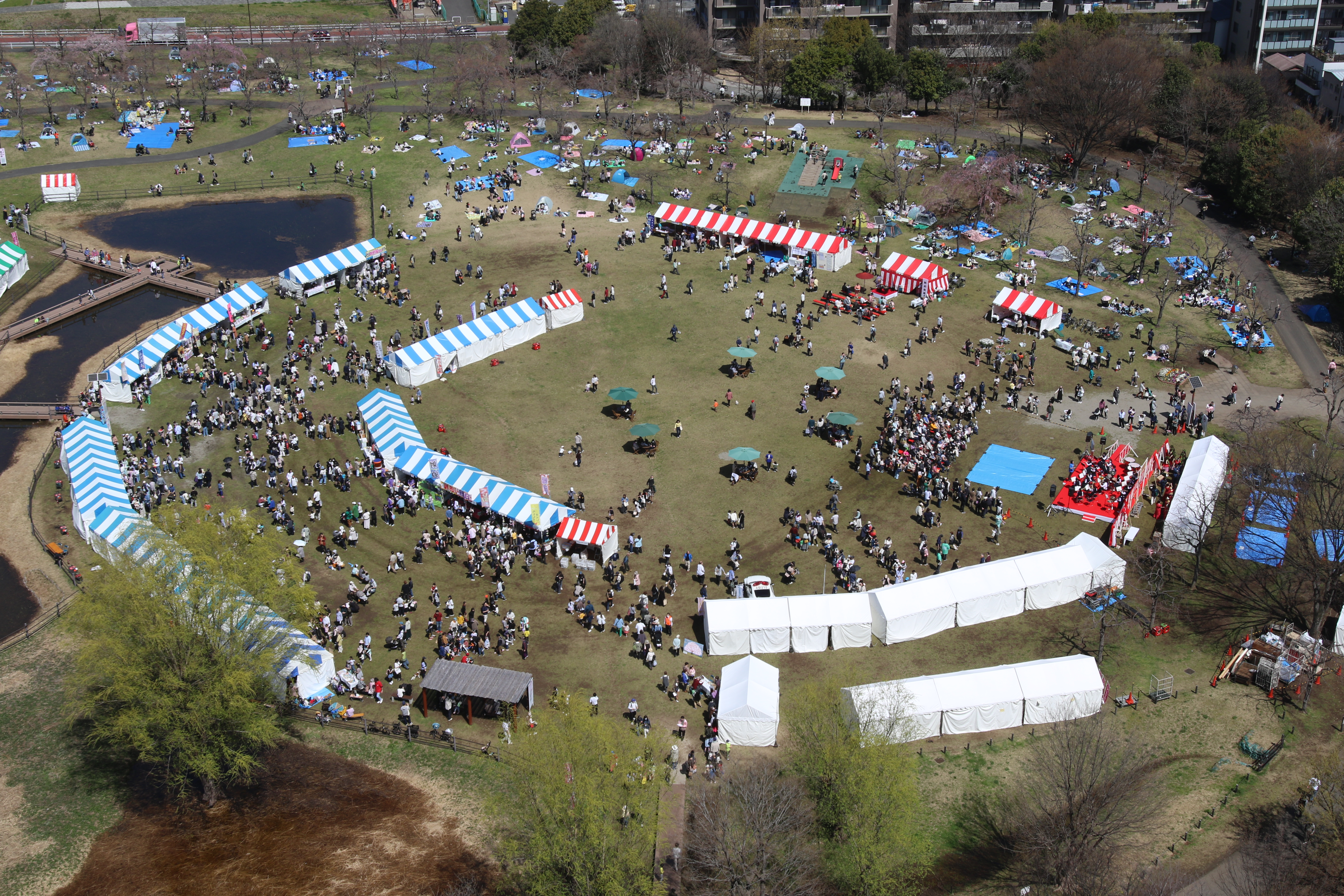 第18回シダレザクラ祭り