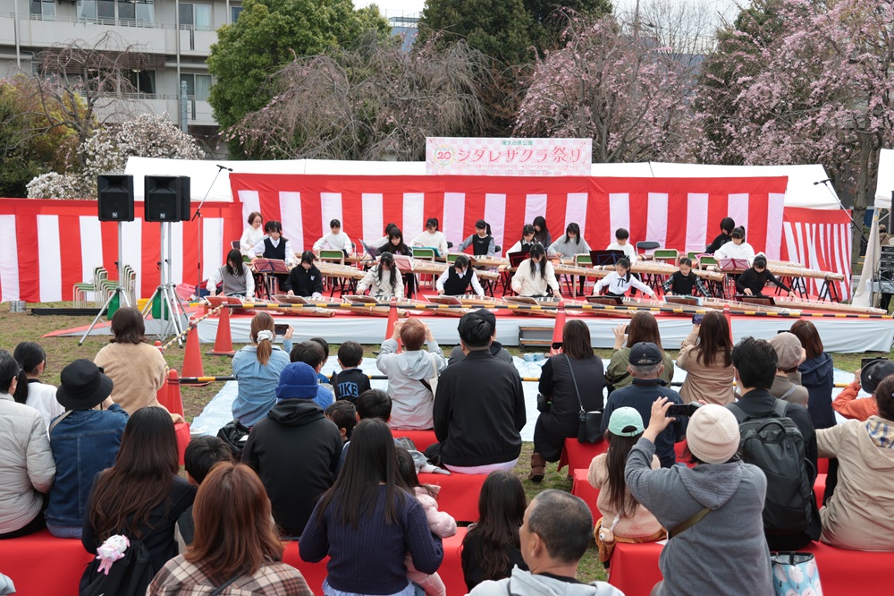 お箏のステージ