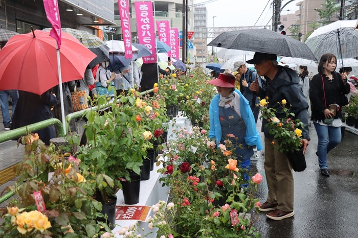 昨年度「あらかわバラの市」の様子