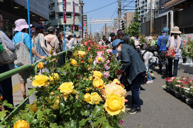 会場の様子1