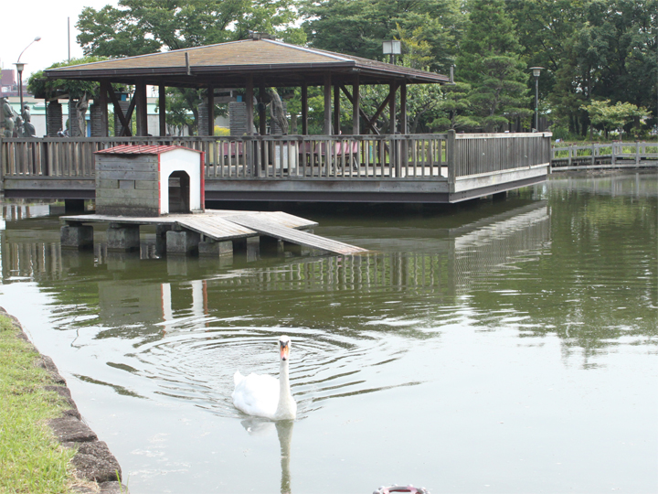 荒川自然公園