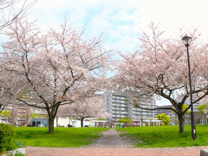 汐入公園
