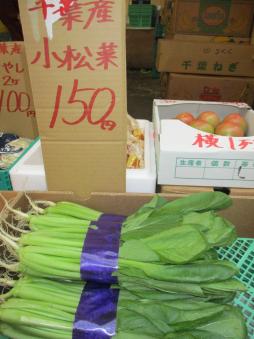 販売している小松菜の写真