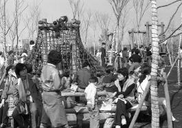 昭和54年ごろの荒川自然公園の写真