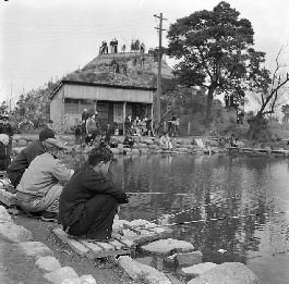 昭和30年ごろの魚つり広場の写真