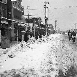 昭和29年の大雪の写真