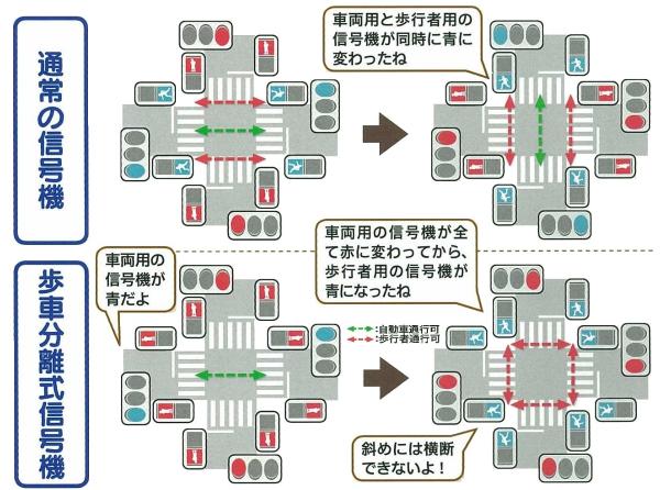 通常の信号機と歩車分離式信号機の違いを表した図